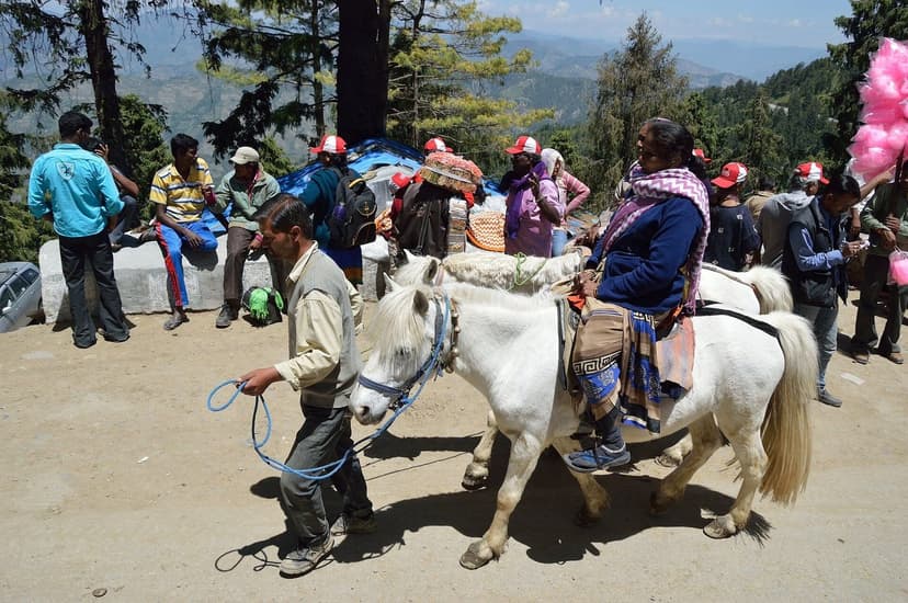 A tourist riding a white pony led by an operator at Kufri near Shimla, with crowds, red-and-white caps and a candy floss seller behind