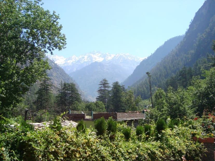 Distant snow peaks visible above deodar forest with village rooftops in foreground