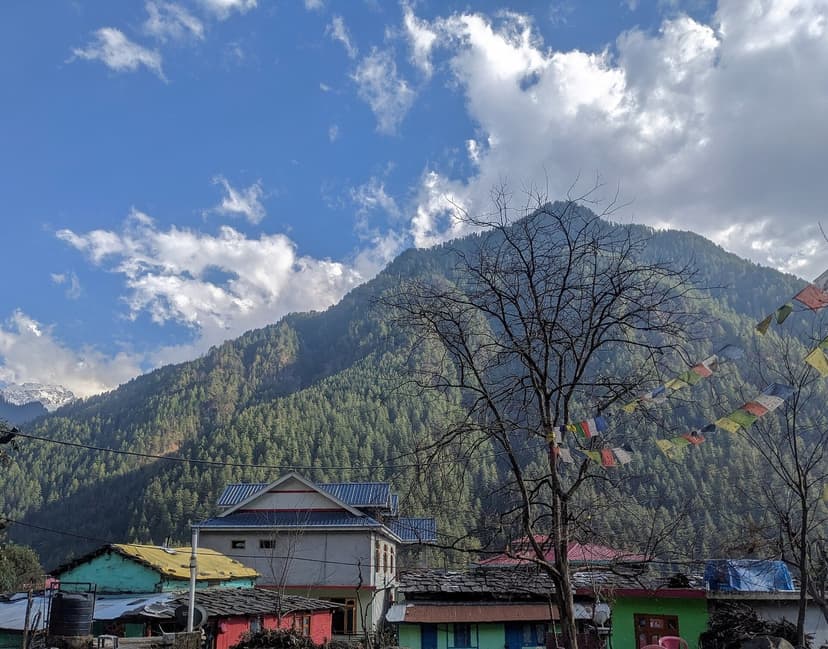 Chalal village rooftops with prayer flags strung from a bare winter tree, deodar hillside behind