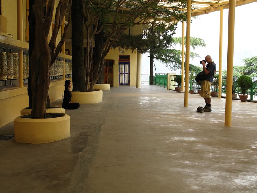 The long open terrace outside Namgyal Monastery in McLeod Ganj with prayer wheels running along the left-hand wall, a woman kneeling in silent prayer against a tree, a visitor photographing — the yellow walls and blue doors of the Dalai Lama's personal monastery visible behind