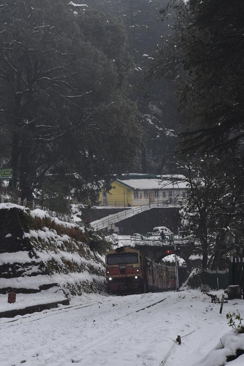 The Kalka-Shimla toy train coming through snow and mist past a bridge and snow-laden deodar trees