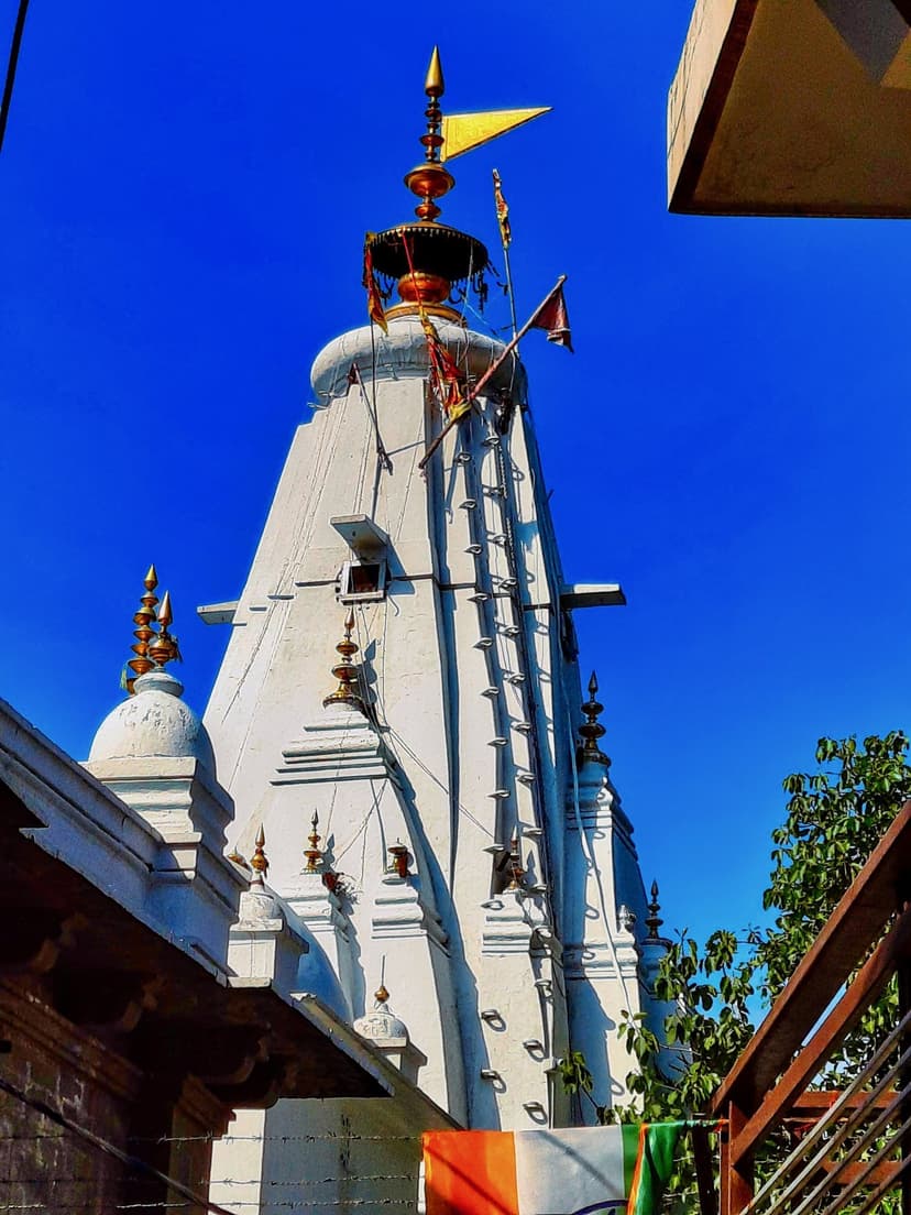 The white shikhara of Bajreshwari Devi temple in Kangra with its gold finial and saffron flag against a deep blue sky