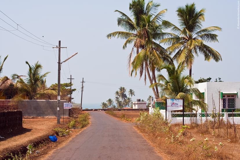 A quiet palm-lined village lane in Assagao, North Goa, red laterite earth and whitewashed houses, the sea at the end
