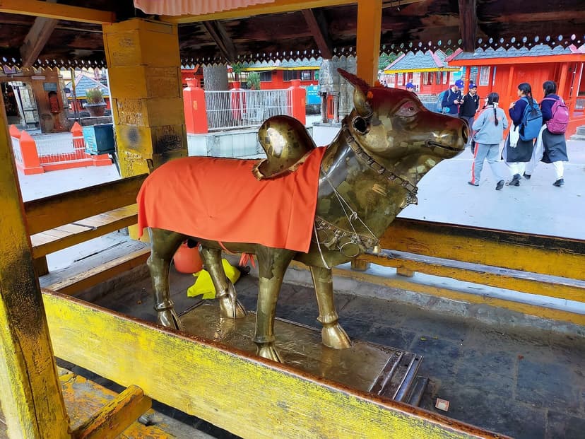 Life-sized brass Nandi bull statue, standing on all four legs with a red cloth draped on its back, inside a covered courtyard at the Manimahesh Temple at Bharmour