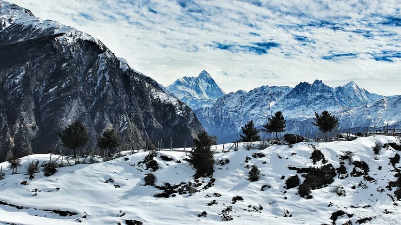 Snow-covered slopes at Auli in winter with conifers and Nanda Devi visible on the horizon