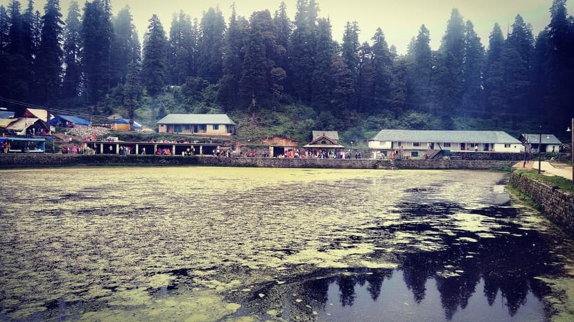 The weed-covered Kamrunag lake ringed by deodar forest with pilgrim buildings and a crowd on the far bank