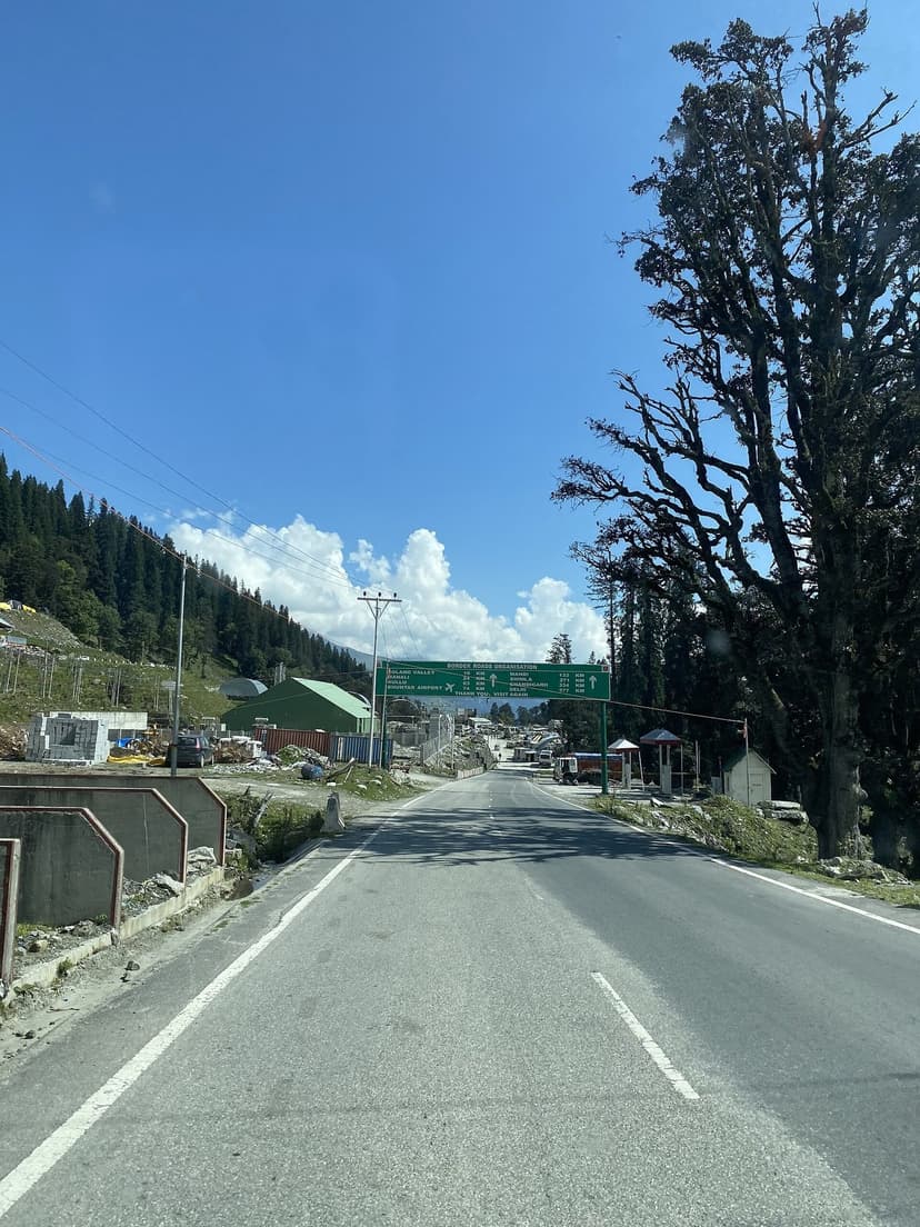 Well-paved approach road leading to the Atal Tunnel south portal near Manali, with green highway signage, deodar trees, and mountains under blue sky