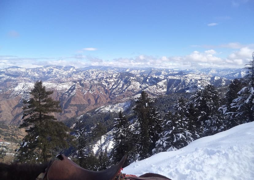 Snow-covered GHNP mountain panorama with pine trees in foreground, winter view from inside the park