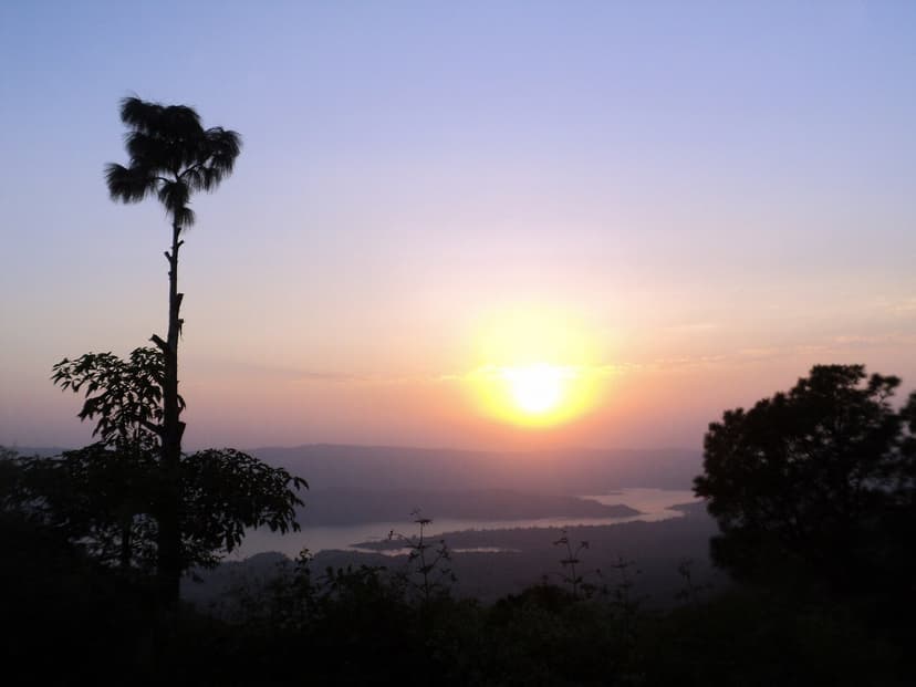 Dusk falling over the hills of Bilaspur district, Himachal Pradesh — silhouetted pine tree, a long ridge dropping to a thin strip of Govind Sagar reservoir water glinting in the distance, hazy sunset