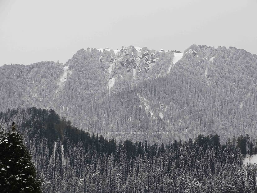 Snow-covered Hatu Peak at 3,400 metres rising above deodar forest near Narkanda in winter