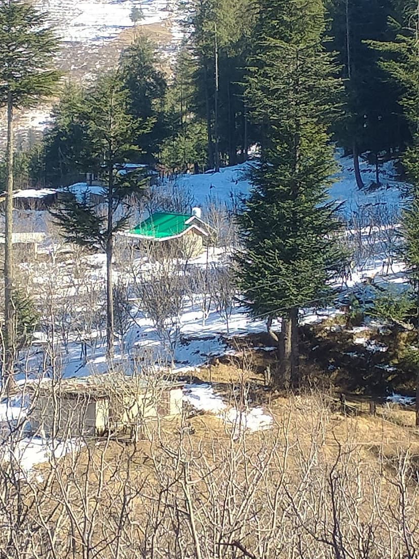 Apple orchards in late winter near Fagu/Theog with patches of snow on the slopes