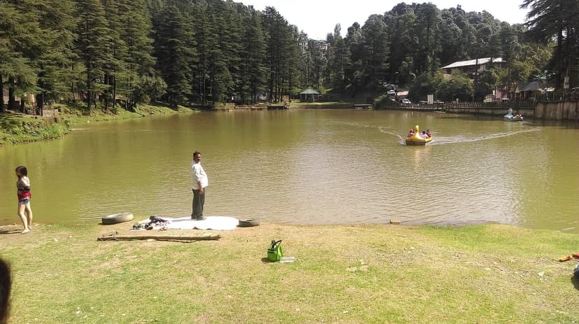 The small Dal Lake at Tota Rani near Dharamshala, olive-brown water, a paddle boat in the shape of a swan, tall deodar trees ringing the banks, a man standing on a cement platform at the near shore — a small HP lake most travellers confuse with the Srinagar one