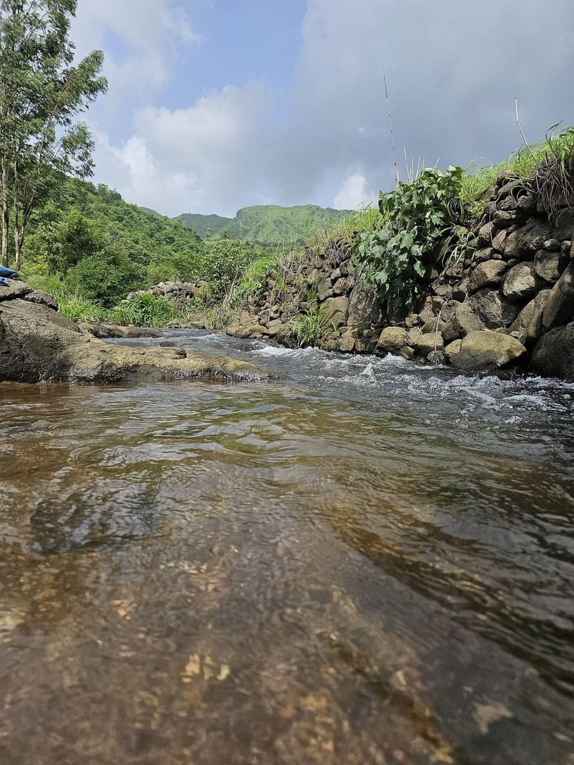A clear monsoon stream running over rock through green forested hills in the Western Ghats