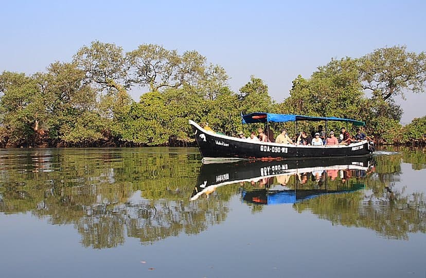 A small covered tourist boat with passengers on the glassy, mangrove-lined water of the Mandovi estuary in Goa, the green treeline reflected in the still water.