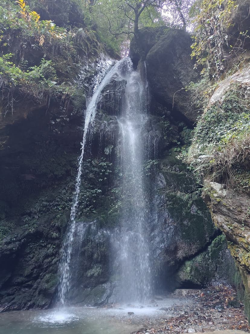 Small waterfall cascading down moss-covered rock in forest