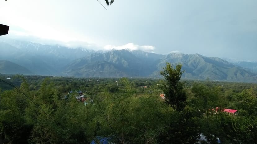 Wide view of Palampur valley with houses and small terraces in foreground, the Dhauladhar range partly hidden in cloud rising sharply behind