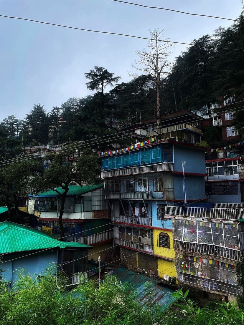 Multicoloured houses stacked down a hillside in Dharamkot village near McLeod Ganj, the buildings painted yellow blue and white with corrugated roofs, cedar trees rising above them into a cloudy mountain sky