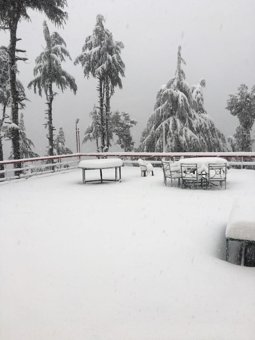 Hotel terrace in Dalhousie buried under fresh snowfall with snow-loaded deodar trees, snow falling