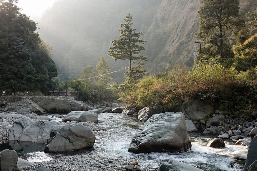 Clear mountain stream running through Barot Valley in Mandi district, moss-covered boulders, fast-flowing water, a single tall conifer on a midstream rock and forested slopes on both sides