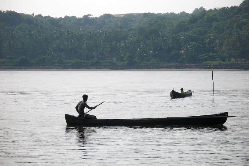 Two men in slim dugout canoes on the calm Mandovi river at Panaji, a wooded and palm-lined bank behind them in the morning haze