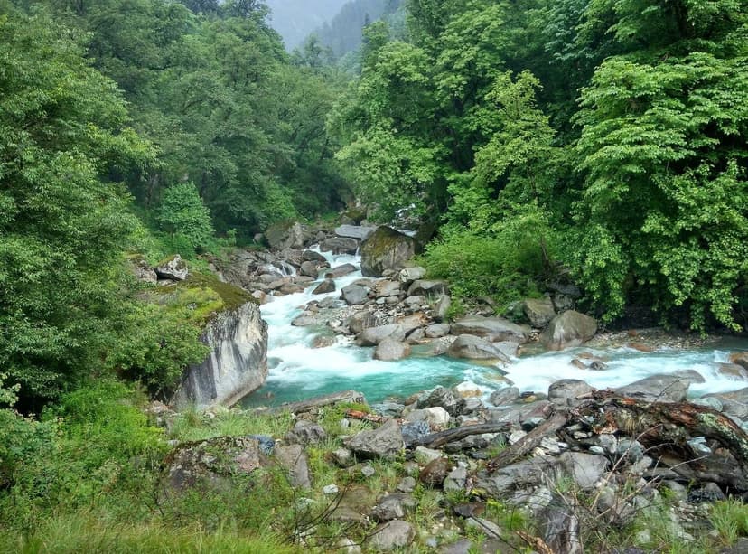 Turquoise water of the Sainj river rushing over pale boulders through green forest