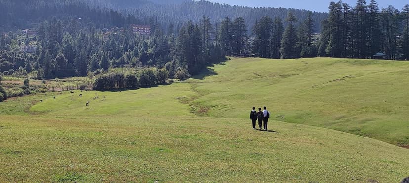 Walkers crossing the wide green Shangarh meadow with homestays visible on the forested hillside behind