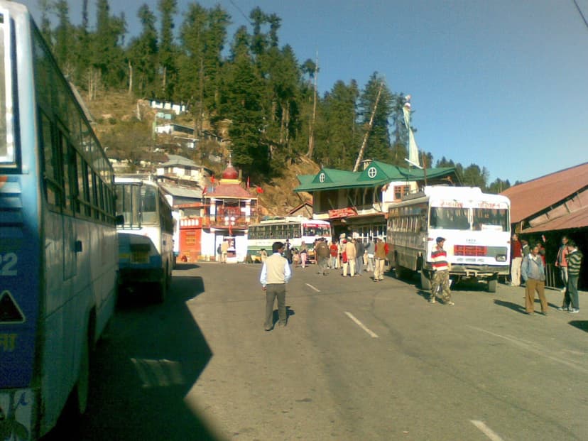 Buses and passengers at the Narkanda bus stand with pine forest above — Narkanda is the road junction 16 km before Kotgarh where most Thanedar-bound traffic changes vehicles