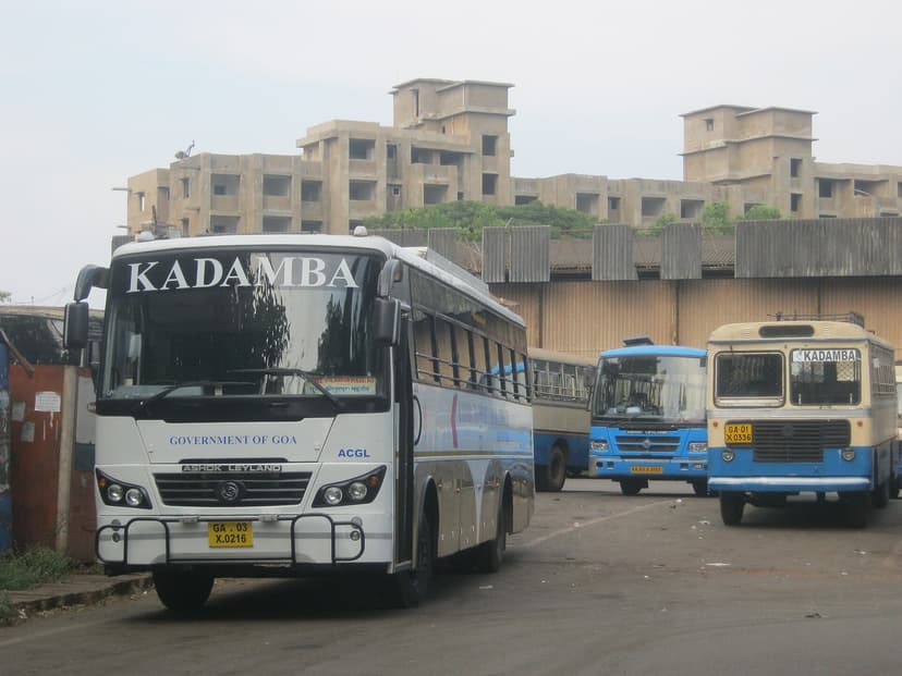 White-and-blue Kadamba government buses parked at the Kadamba depot in Goa