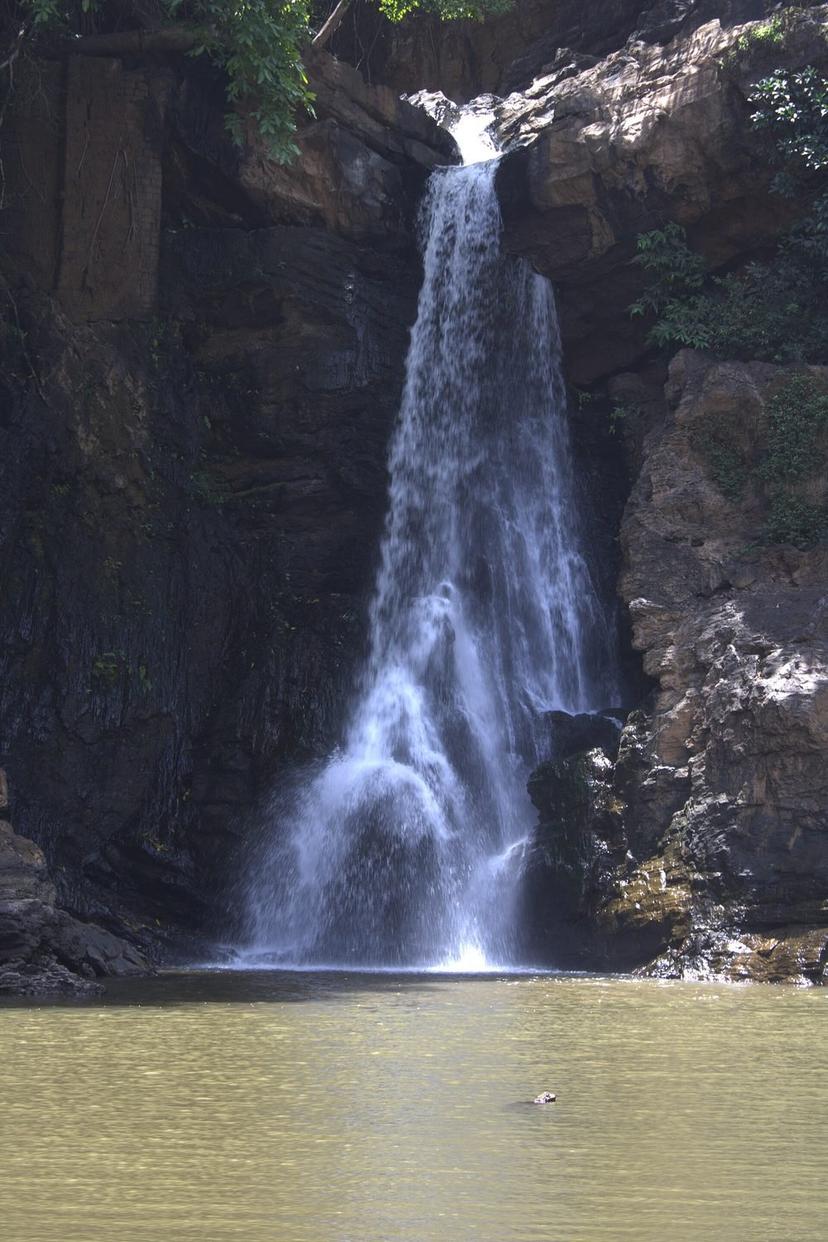 Arvalem Falls in Goa dropping in a single white column into a green pool at its rocky base