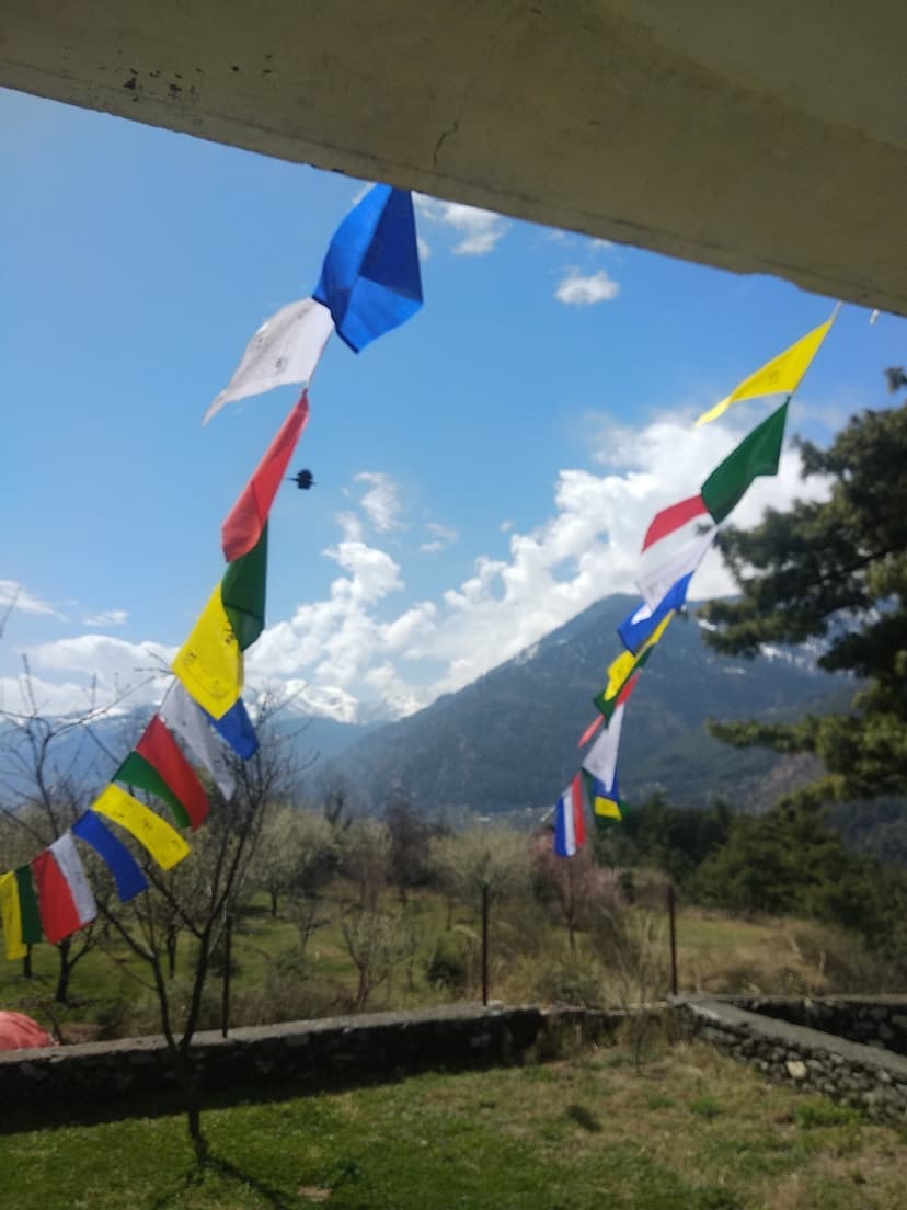 Tibetan prayer flags strung over a Himachal valley path