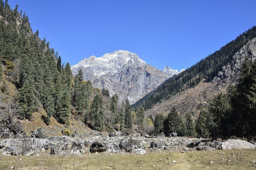 An open boulder-strewn meadow ringed by deodar forest below a snow peak at Kutla above Tosh