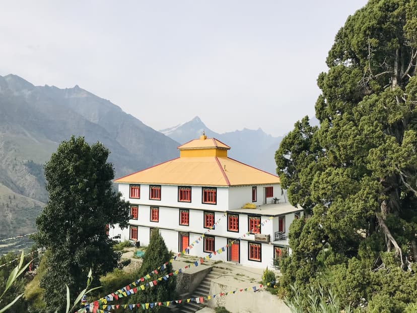 Shashur Monastery white facade with red-framed windows and a yellow pagoda roof, set among blue pines above Keylong with snow peaks behind