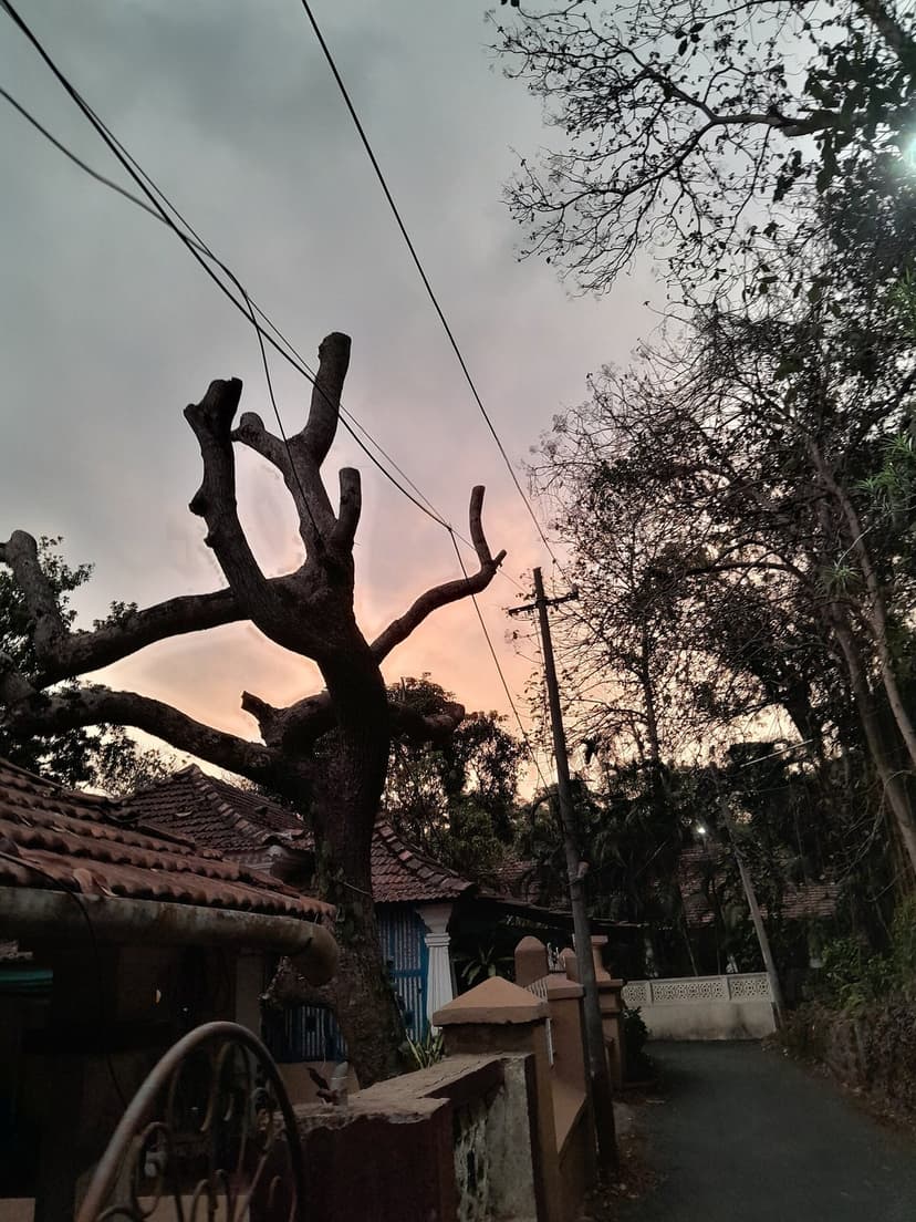 A quiet residential lane in Saligao village, North Goa, at dusk, with old tiled houses and a big tree
