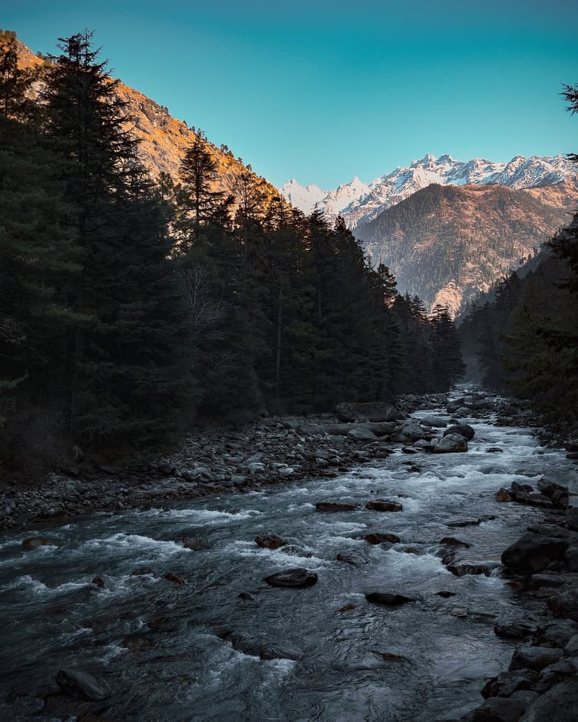 Parvati River winding through deodar forest with snow peaks lit by late sun