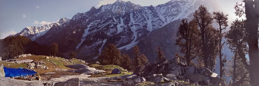 Dhauladhar peaks behind a low meadow with trees and blue camping shelters, seen from Snowline