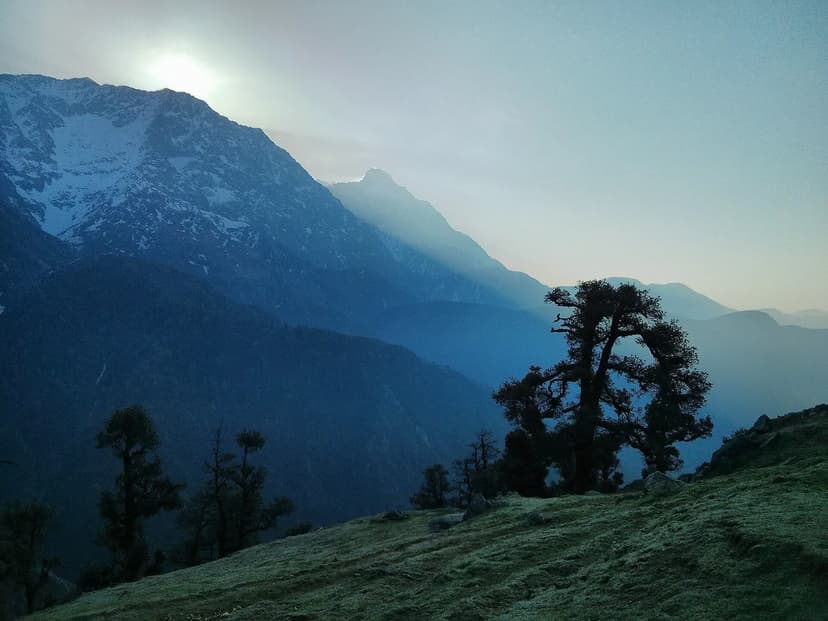 Sunrise alpenglow on snow-capped Dhauladhar peaks seen from the Triund ridge, trees in foreground