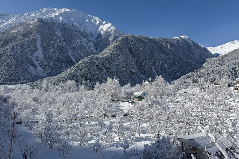 Apple orchards in Sangla, Kinnaur, under a heavy blanket of snow with frosted bare branches, snow-roofed homes and the wooded Baspa valley wall above