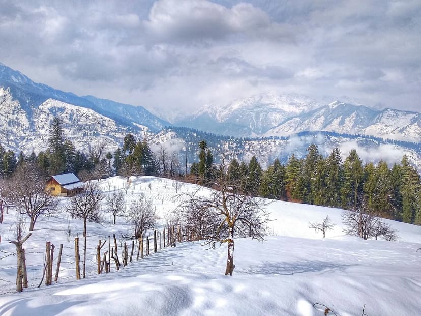 Deep fresh snow on the camping hillside near Kufri above Shimla with bare apple trees, a snow-roofed cabin and snow-streaked ridges of the Himalayas in the background